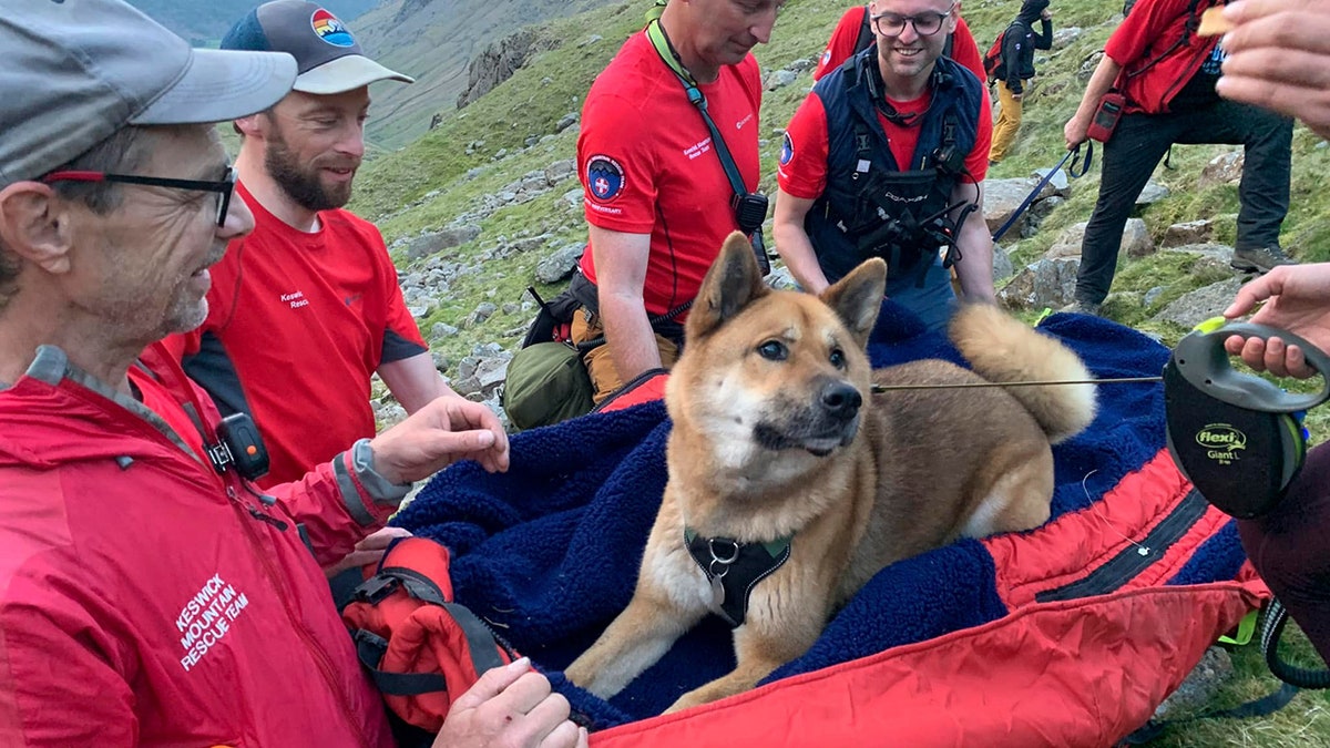 rescuers with dog on mountain