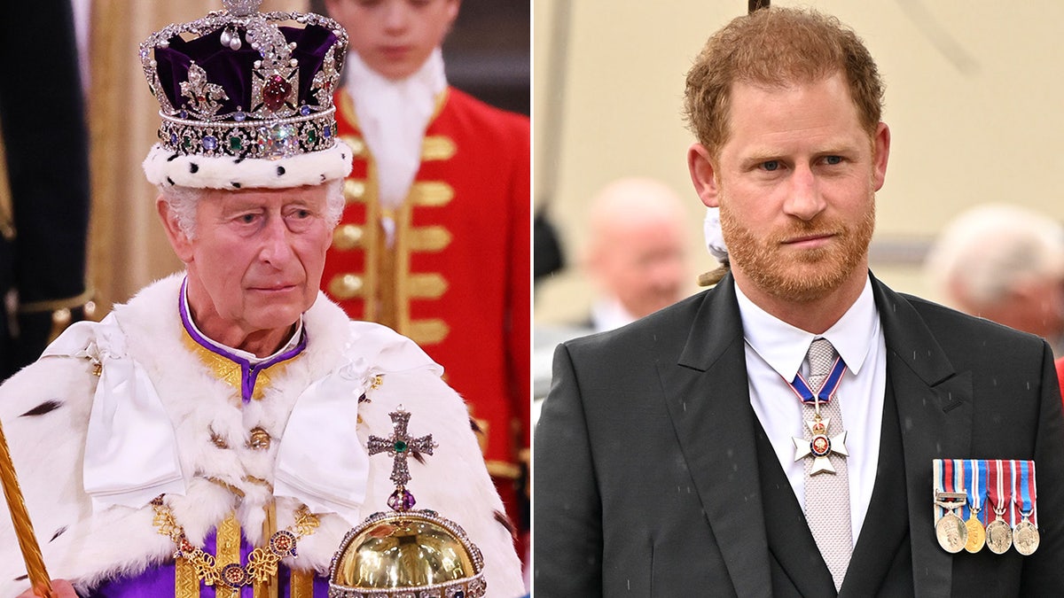 King Charles Prince Harry split image