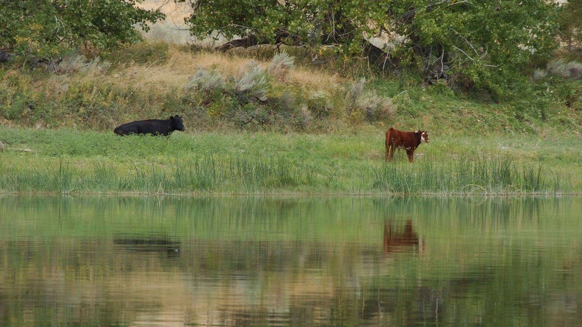 Biden Public Lands