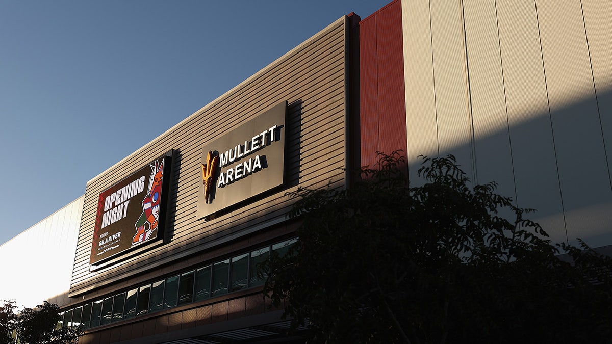 General view of Mullett Arena