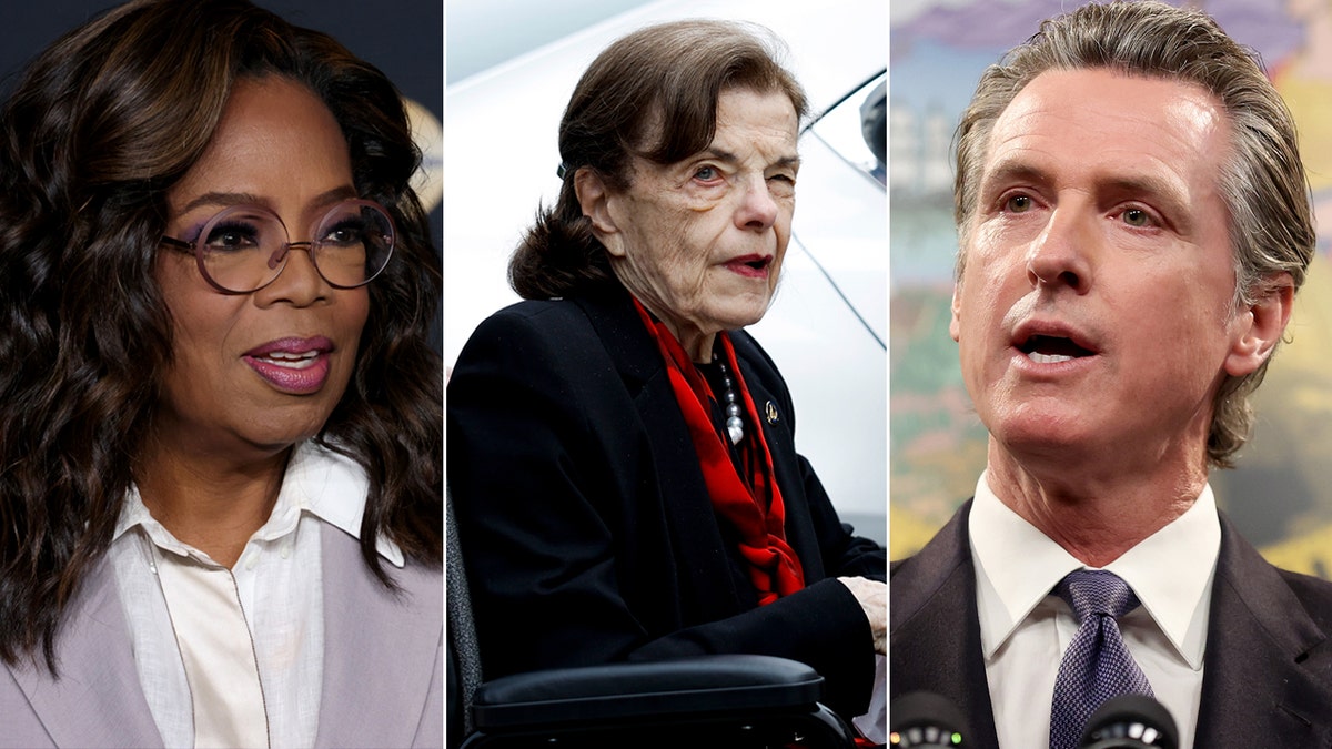 The Associated Press reported that Oprah Winfrey was among the names floated to replace Sen. Dianne Feinstein should she retire before the end of her term