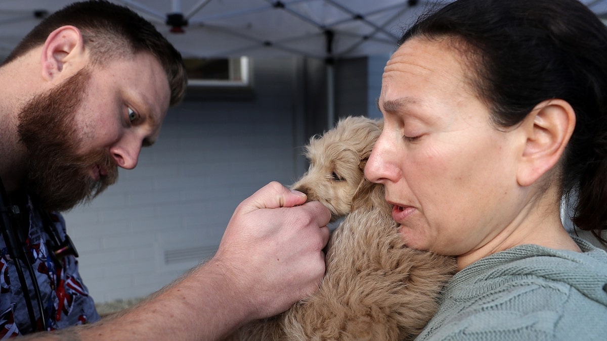 Veterinarian technician Justin Jones (L) gives a dog named Sadie a canine influenza immunization