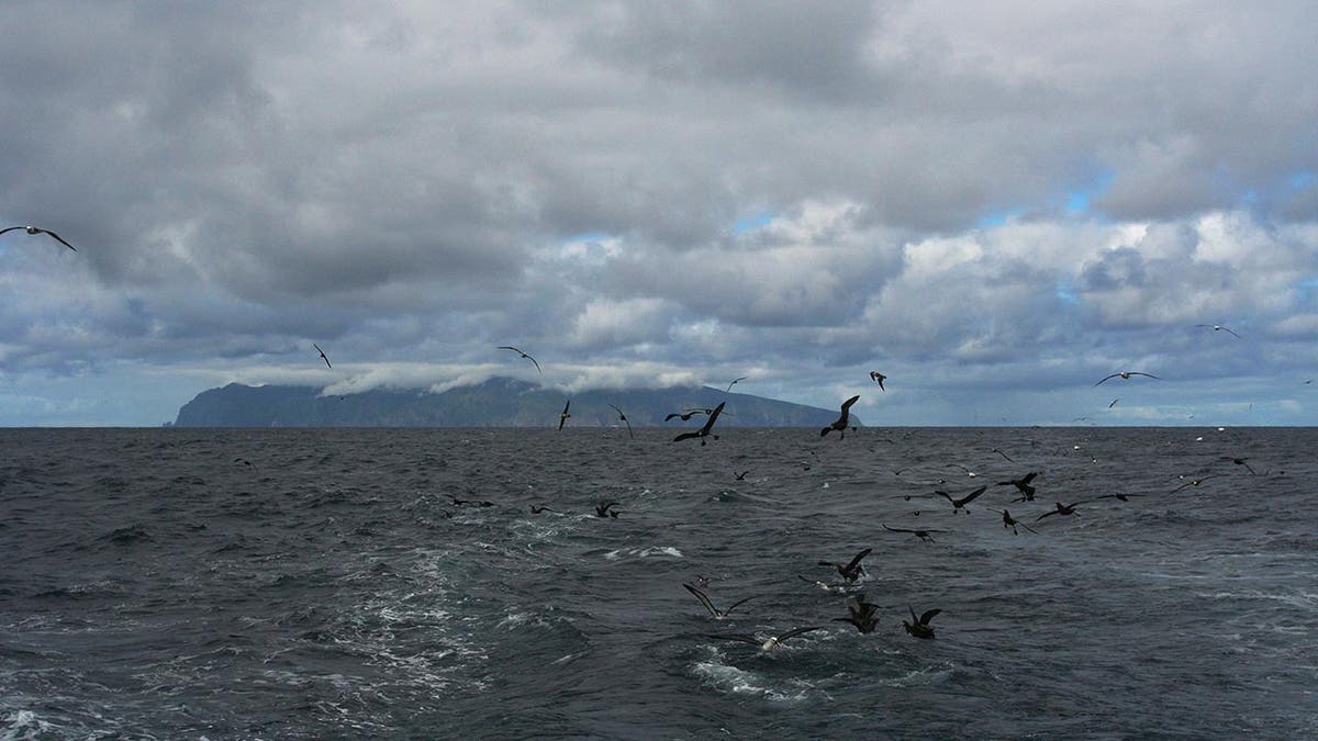 Gough Island in background seen from water