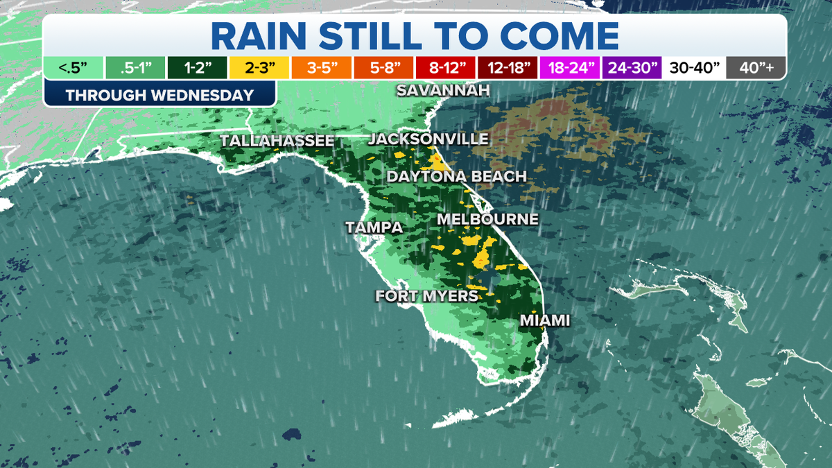 Florida rainfall through Wednesday