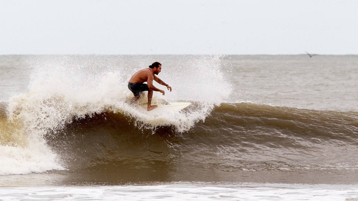 A surfer in Charleston, South Carolina