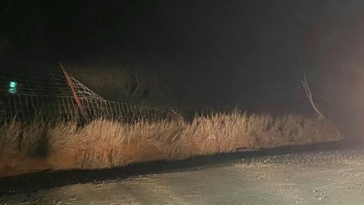 Marcus Canales says they have faced a "constant battle" to repair and mend the fences destroyed by migrants. (Screengrab/ Fox News Tonight)