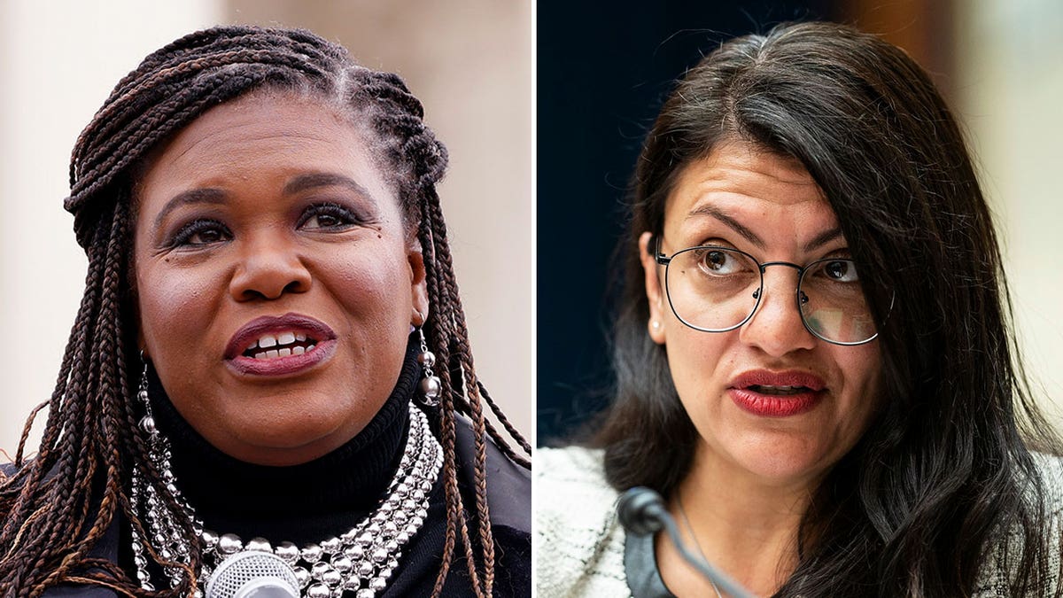 Cori Bush and Rashida Tlaib