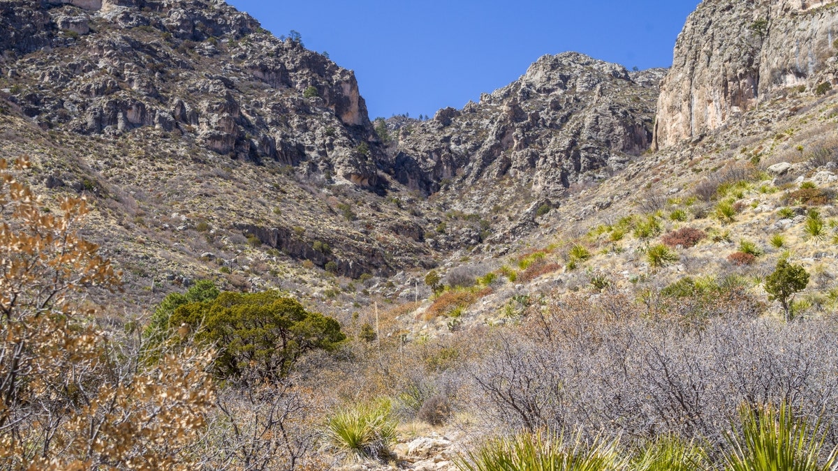 A Guadalupe Mountains National Park trail