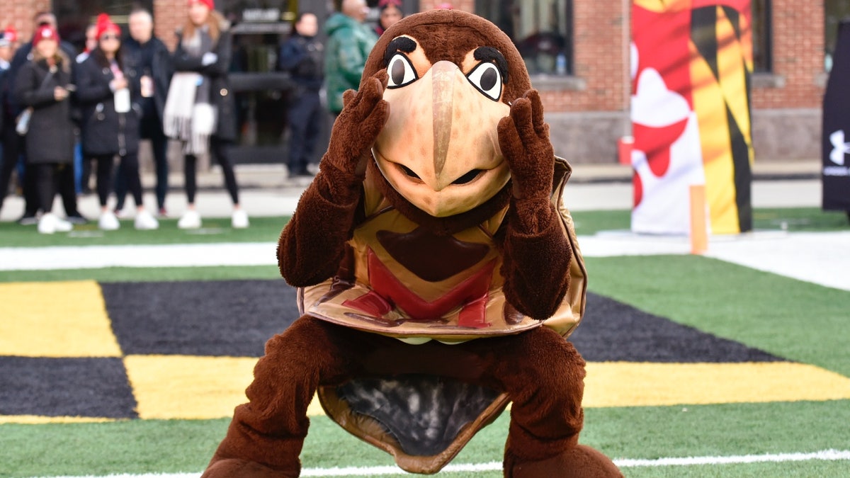 Testudo mascot dancing