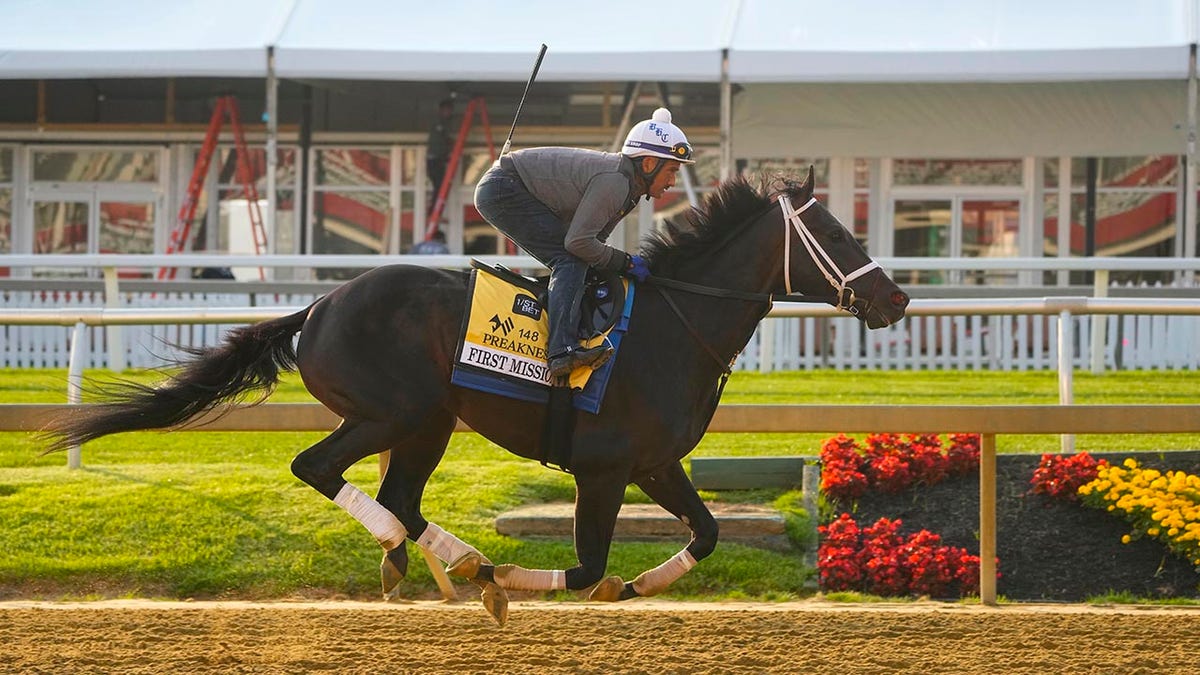 First Mission during a training session ahead Preakness