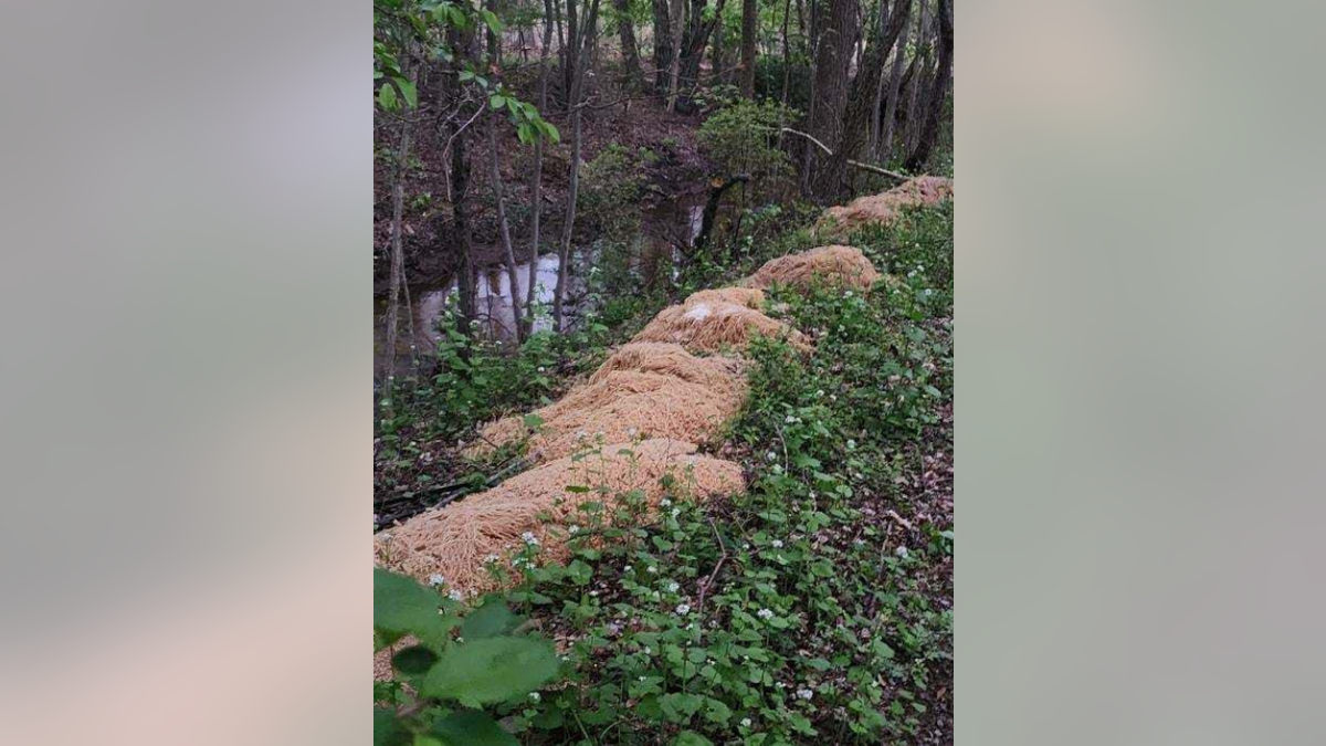 Pasta mounds along river