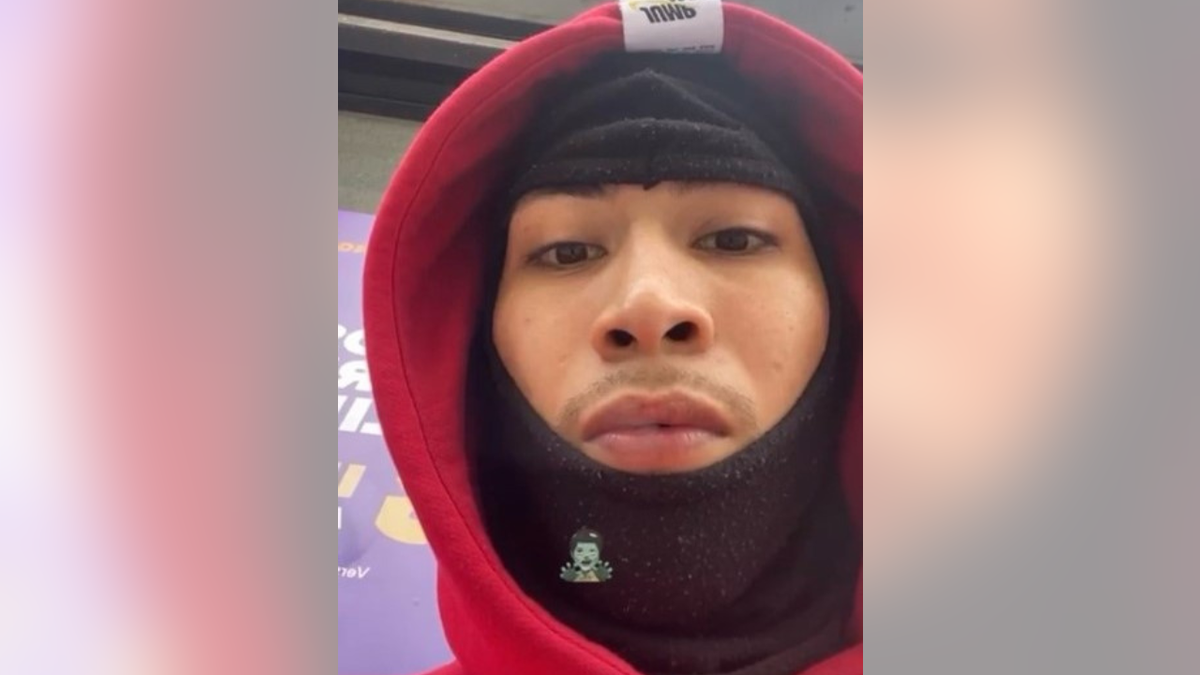 New York City Puppy Stolen By Armed Robbery Suspects During Sale New York City Puppy Stolen By Armed Robbery Suspects During Sale
