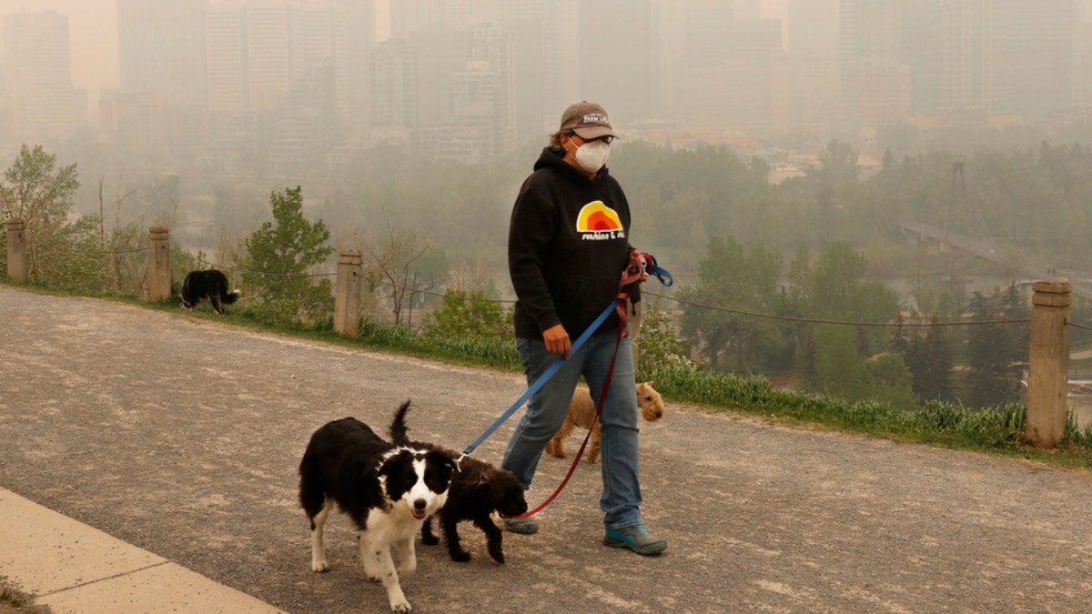 A dog walker in Canadian wildfire smoke