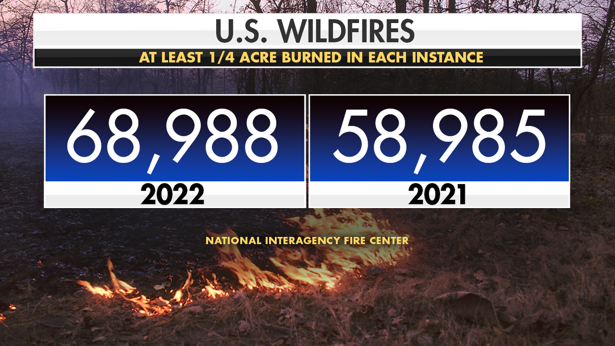 Last year saw more wildfires than 2021