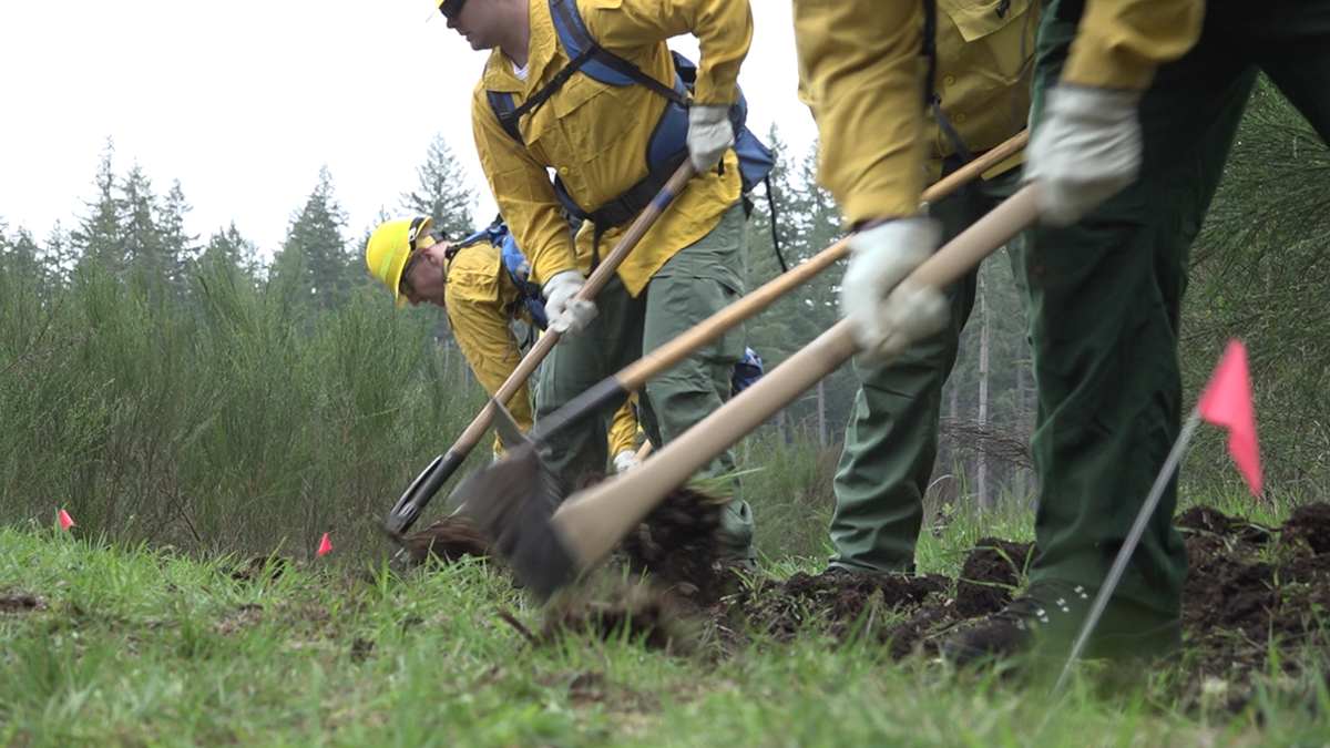 Wildland firefighters in field training to prepare for wildfires.