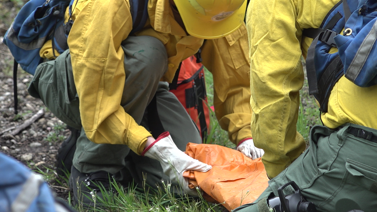 Wild land firefighters have to trust each other in the field.