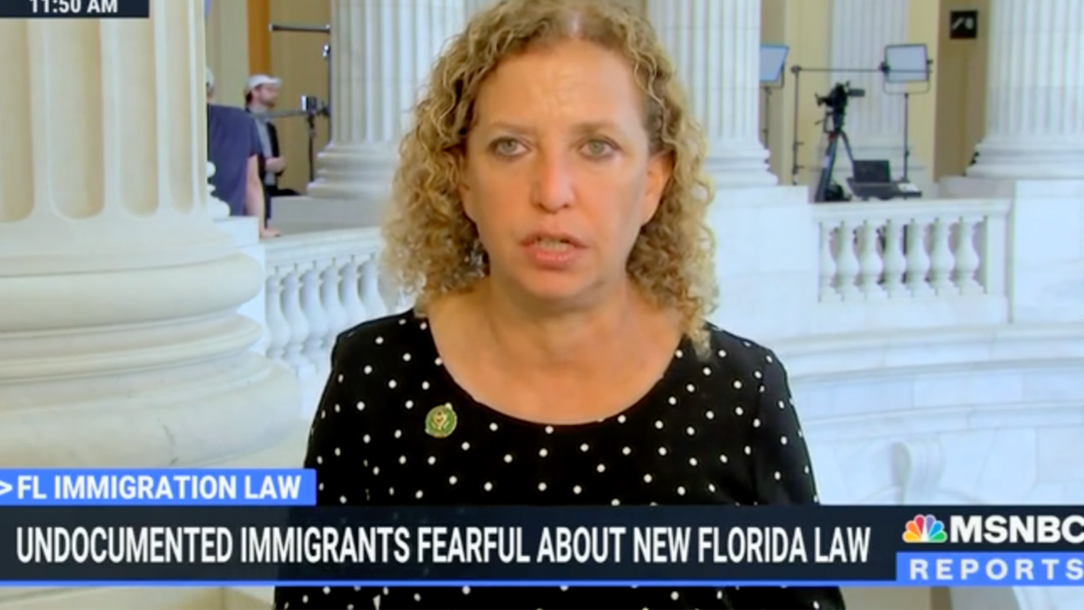 Wasserman Schultz on MSNBC