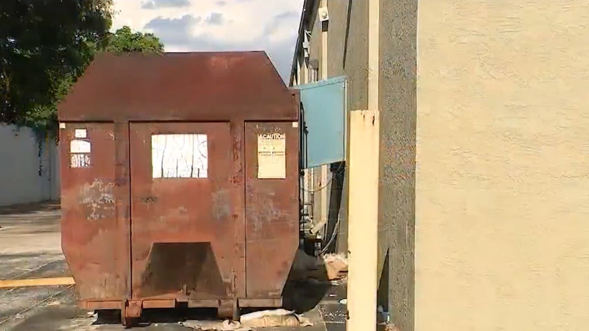 Dumpster outside shopping plaza