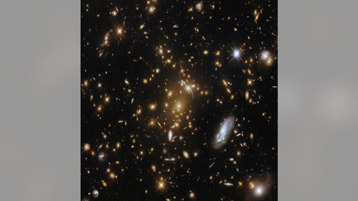 The galaxy cluster