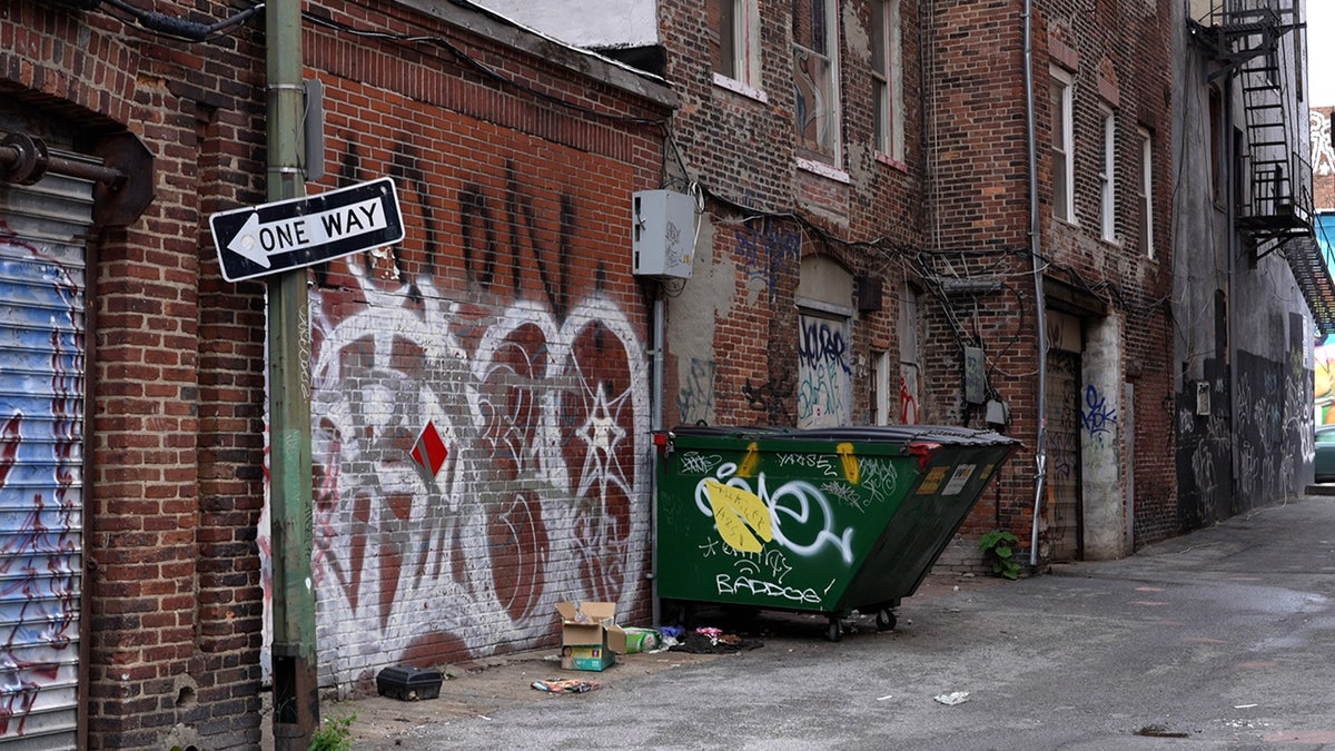 Graffiti covers brick buildings and a dumpster in Baltimore, Maryland