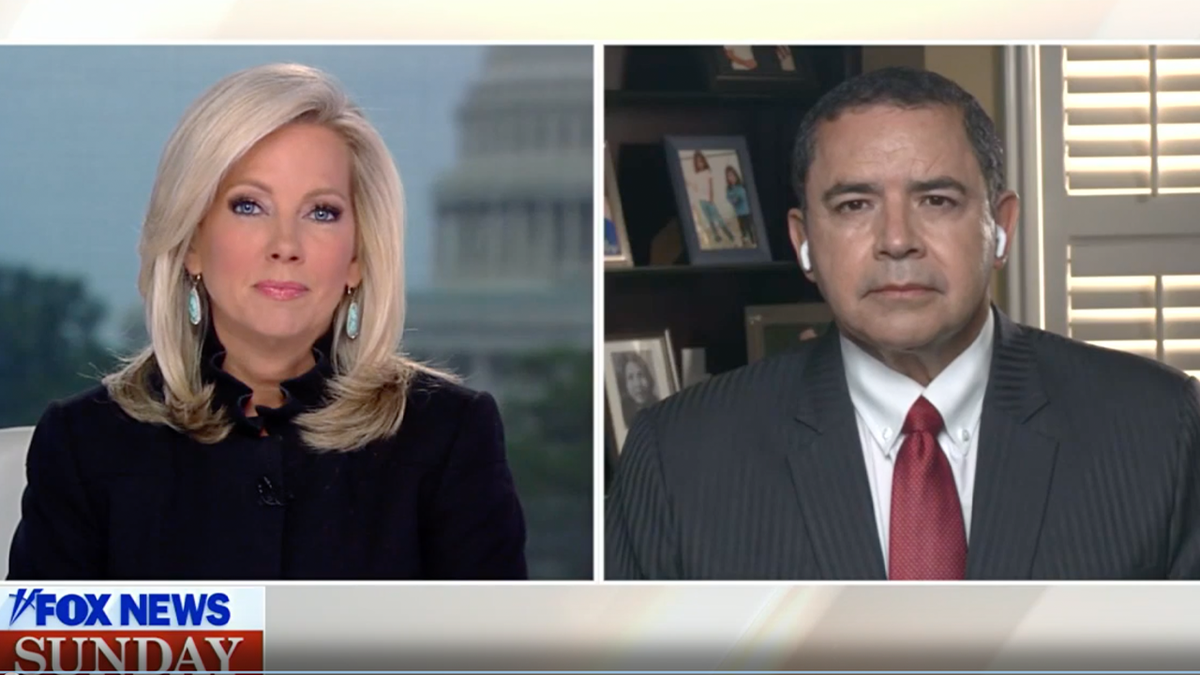 Rep. Cuellar and Shannon Bream