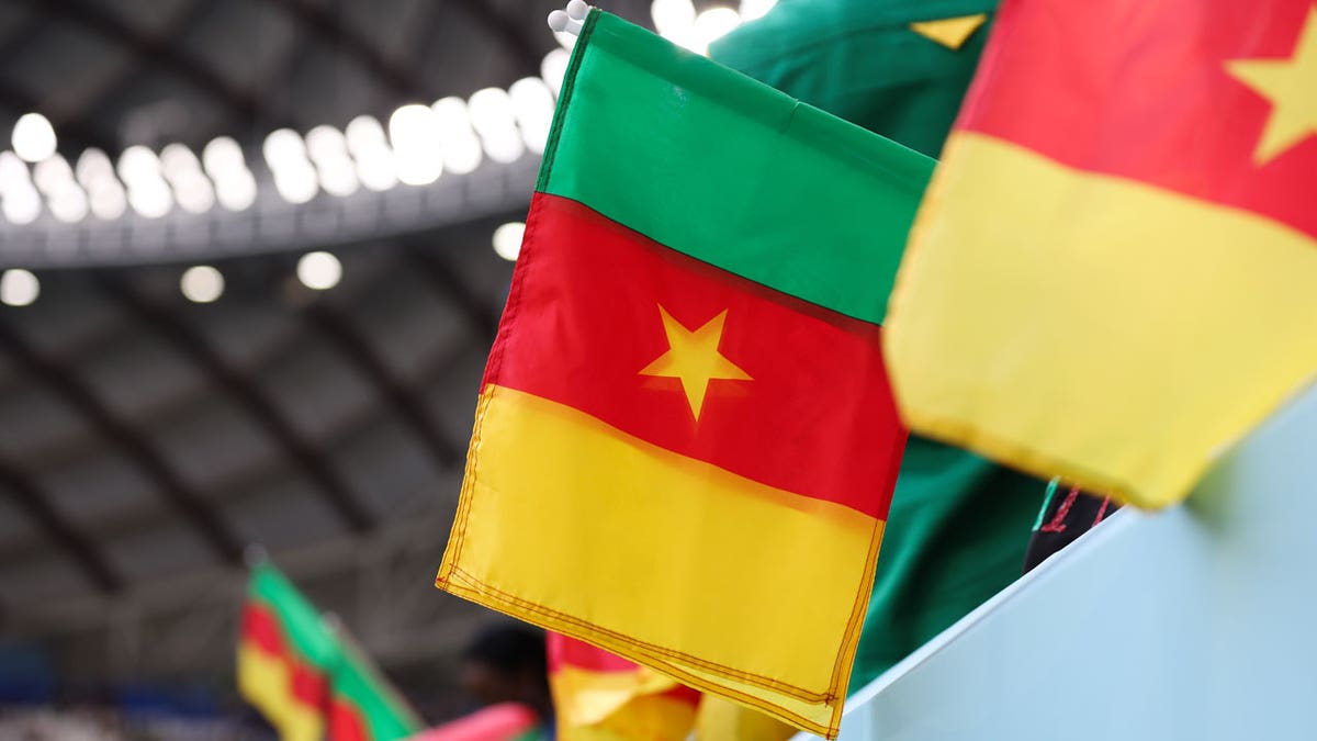 Cameroonian flag