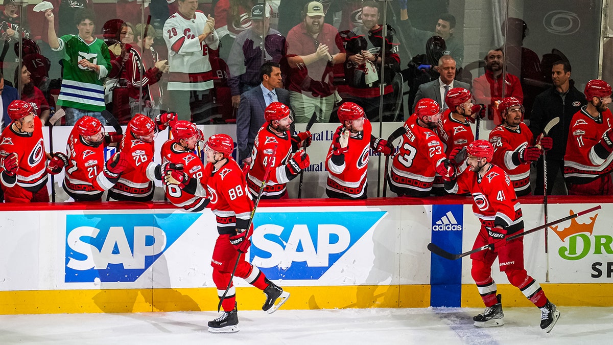 Hurricanes celebrate goal