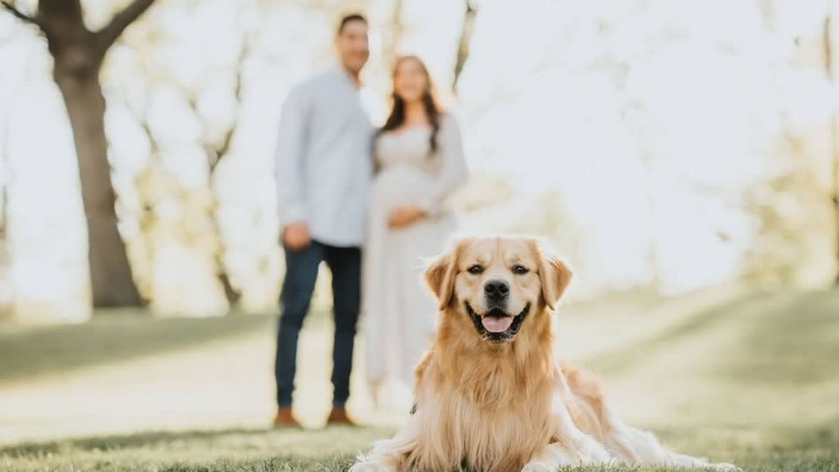 New Jersey couple let dog name baby