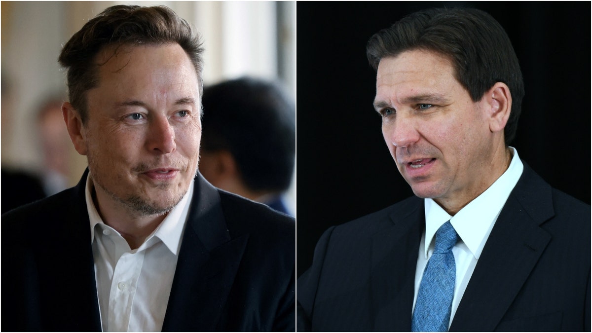 Elon Musk and Ron DeSantis