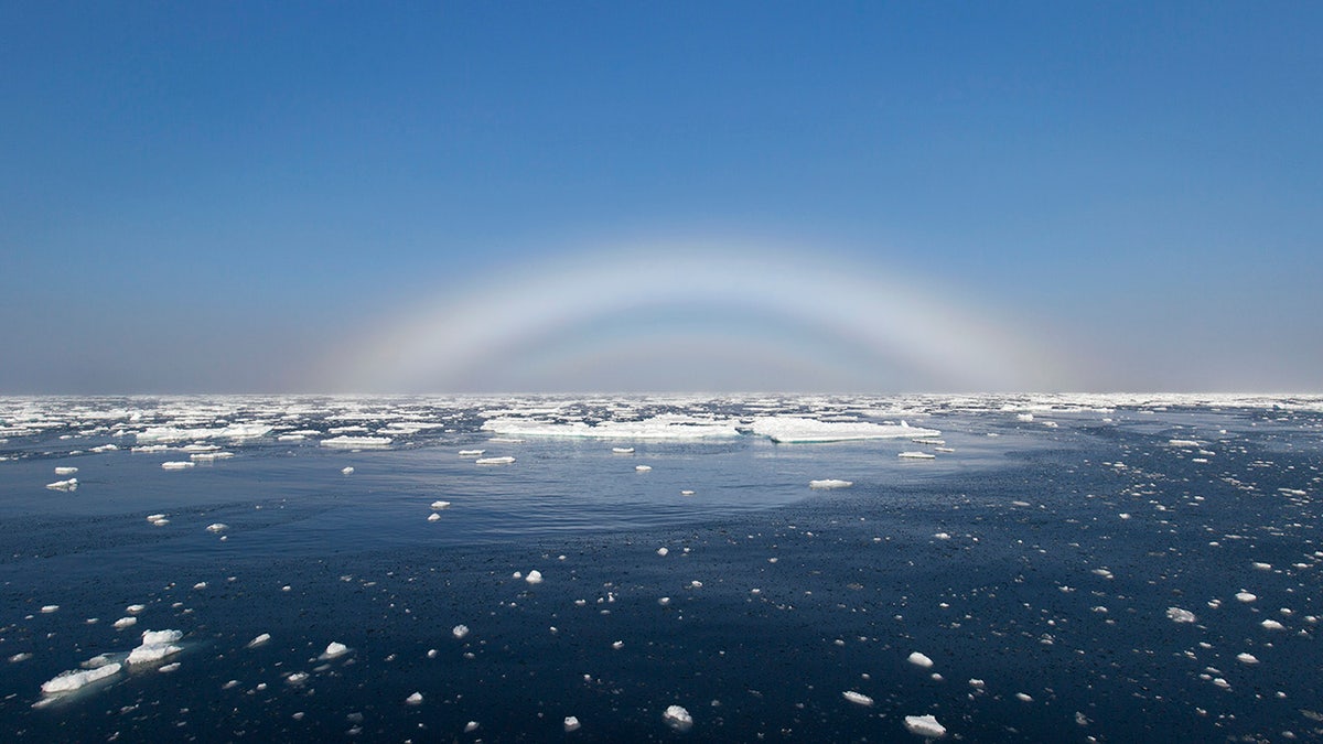 fogbow