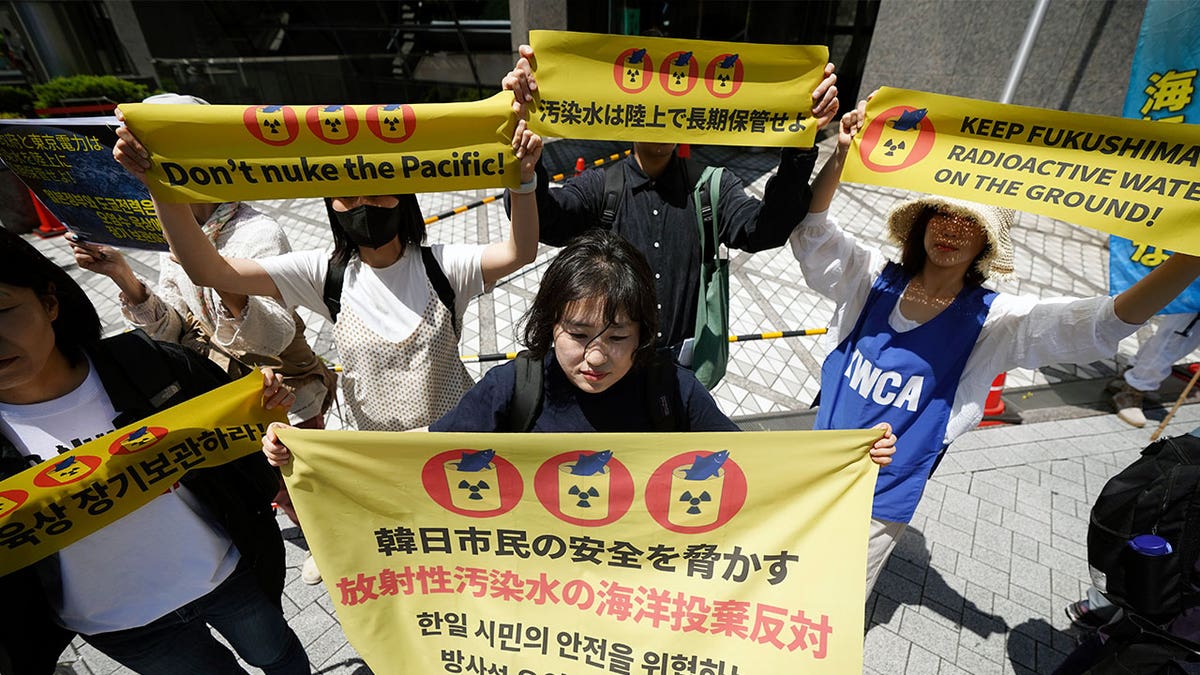 Protest in Japan