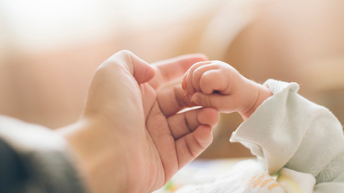 Close-up of a baby wrapping hand around mother's finger