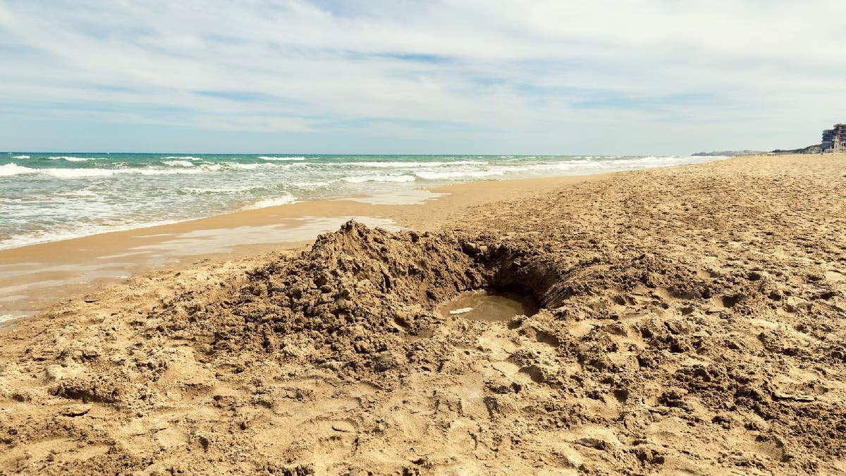 Hole dug in sand