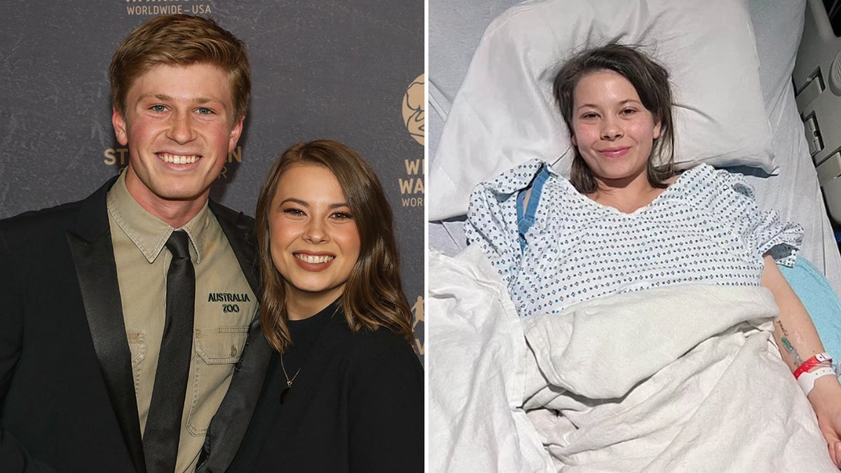 bindi and robert irwin siblings split photo