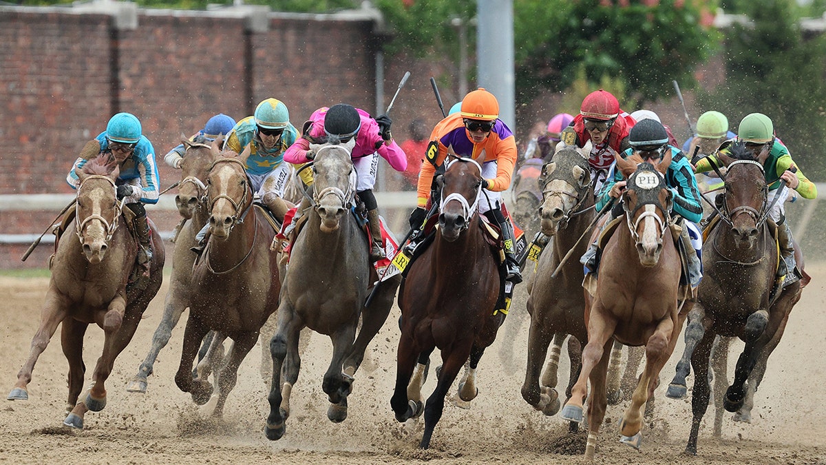 Horses at KEntucky Derby