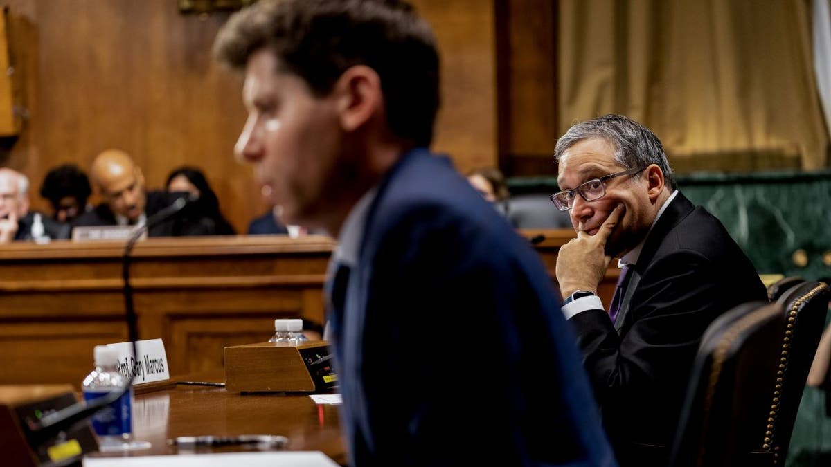 Gary Marcus listens to Sam Altman at hearing