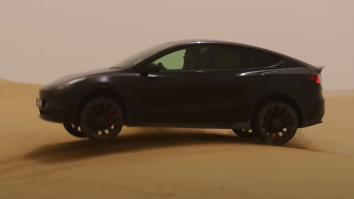 model y