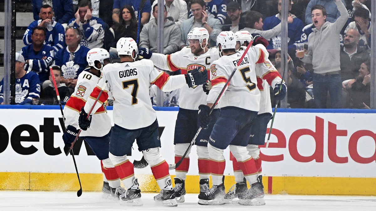 Panthers celebrate goal