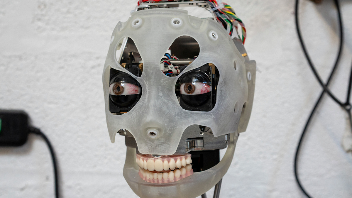 Face on a robot
