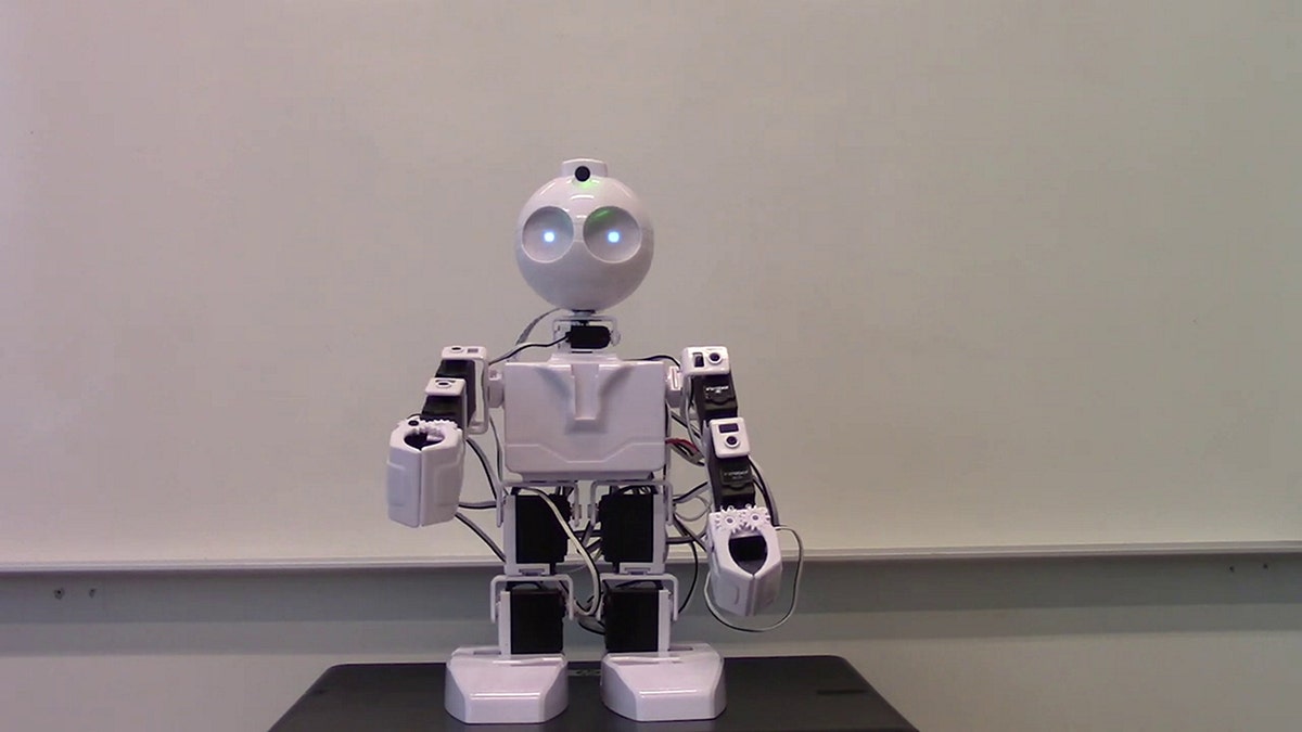 robot programmed with voices