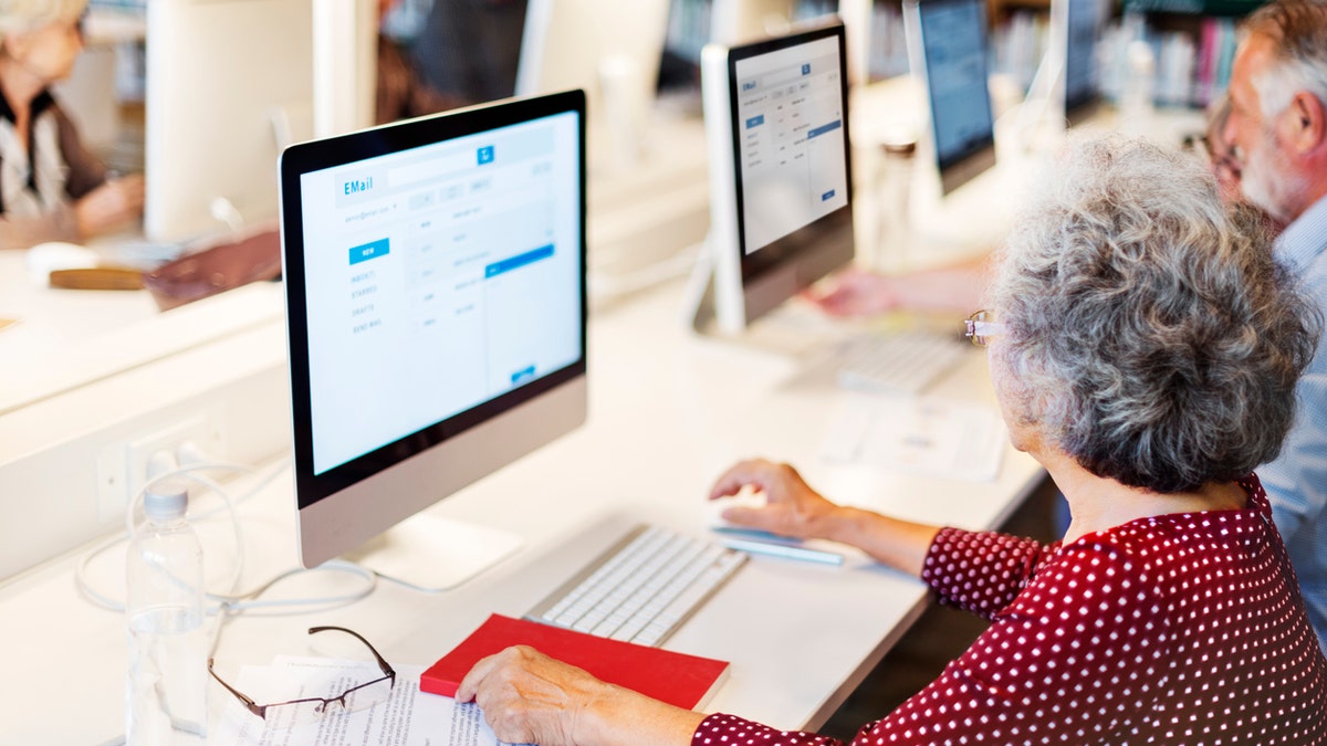 Seniors at computer lab