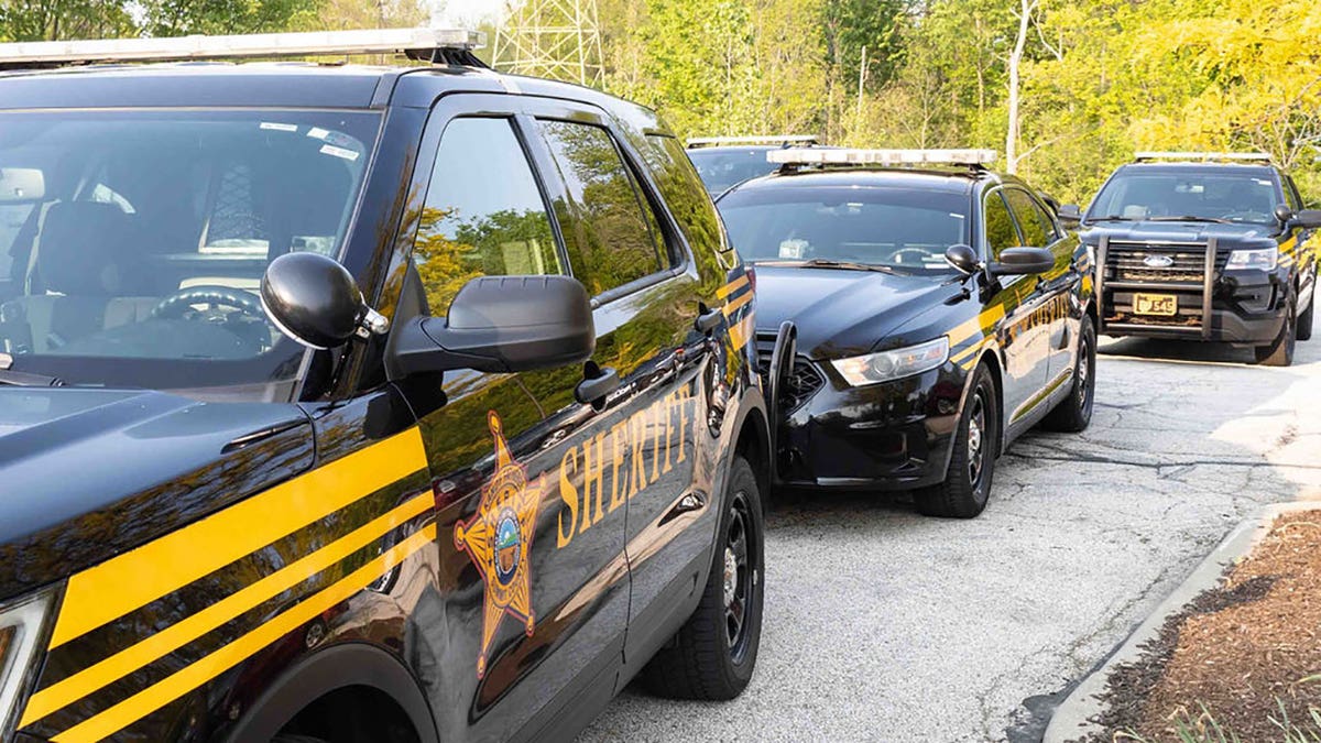 Summit County Sheriff's Office vehicles