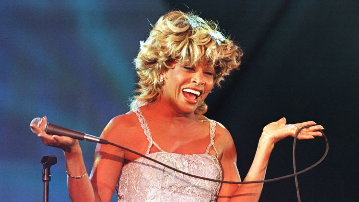 Tina Turner performing