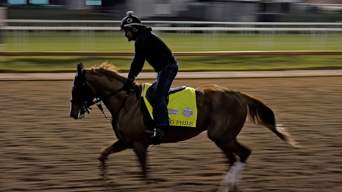 Racehorse running on a track