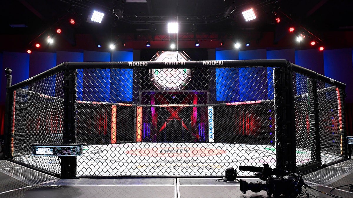 MMA ring in Vegas