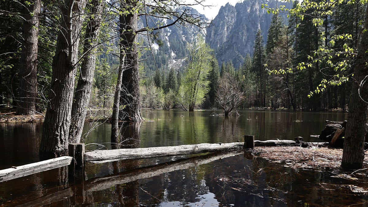 Yosemite Valley to reopen earlier than expected as California flood ...