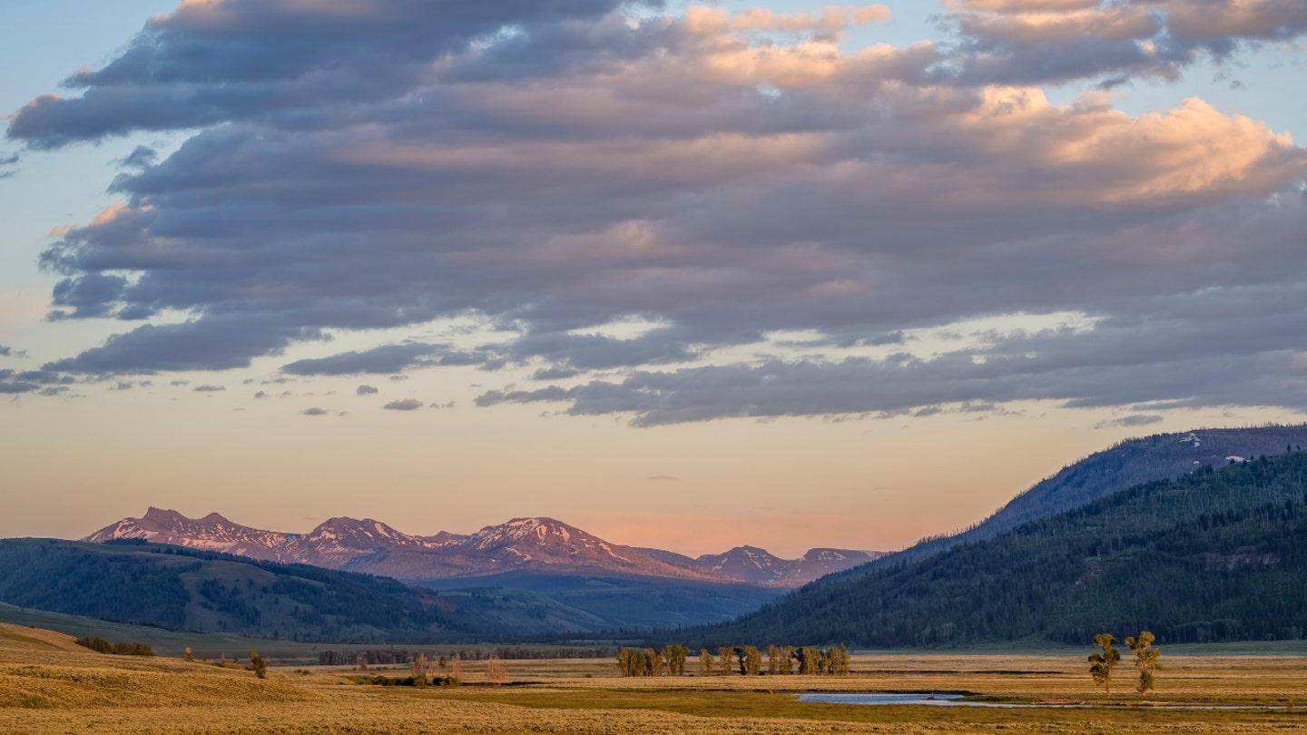 Shootout at Yellowstone National Park Leaves Suspect Dead, Ranger Injured