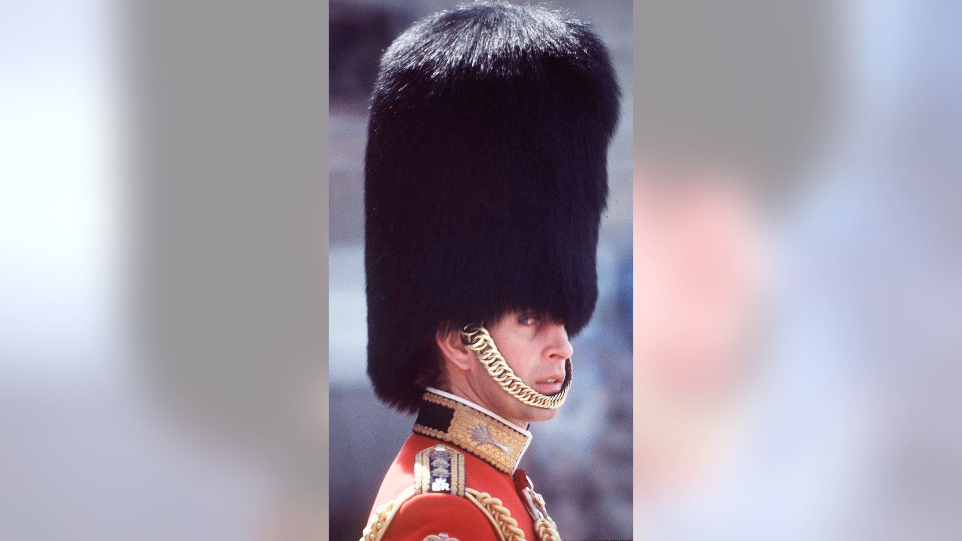 Prince Charles, Prince of Wales, wearing a huge bearskin and in the uniform of Colonel of the Welsh Guards
