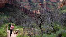 Grand Canyon National Park renames campground to honor Havasupai Tribe