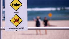 Pieces of wetsuit, surfboard found after shark attack in South Australia